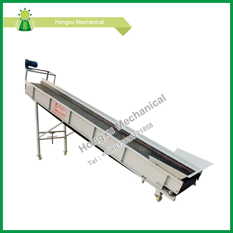 Cingulum Conveyors